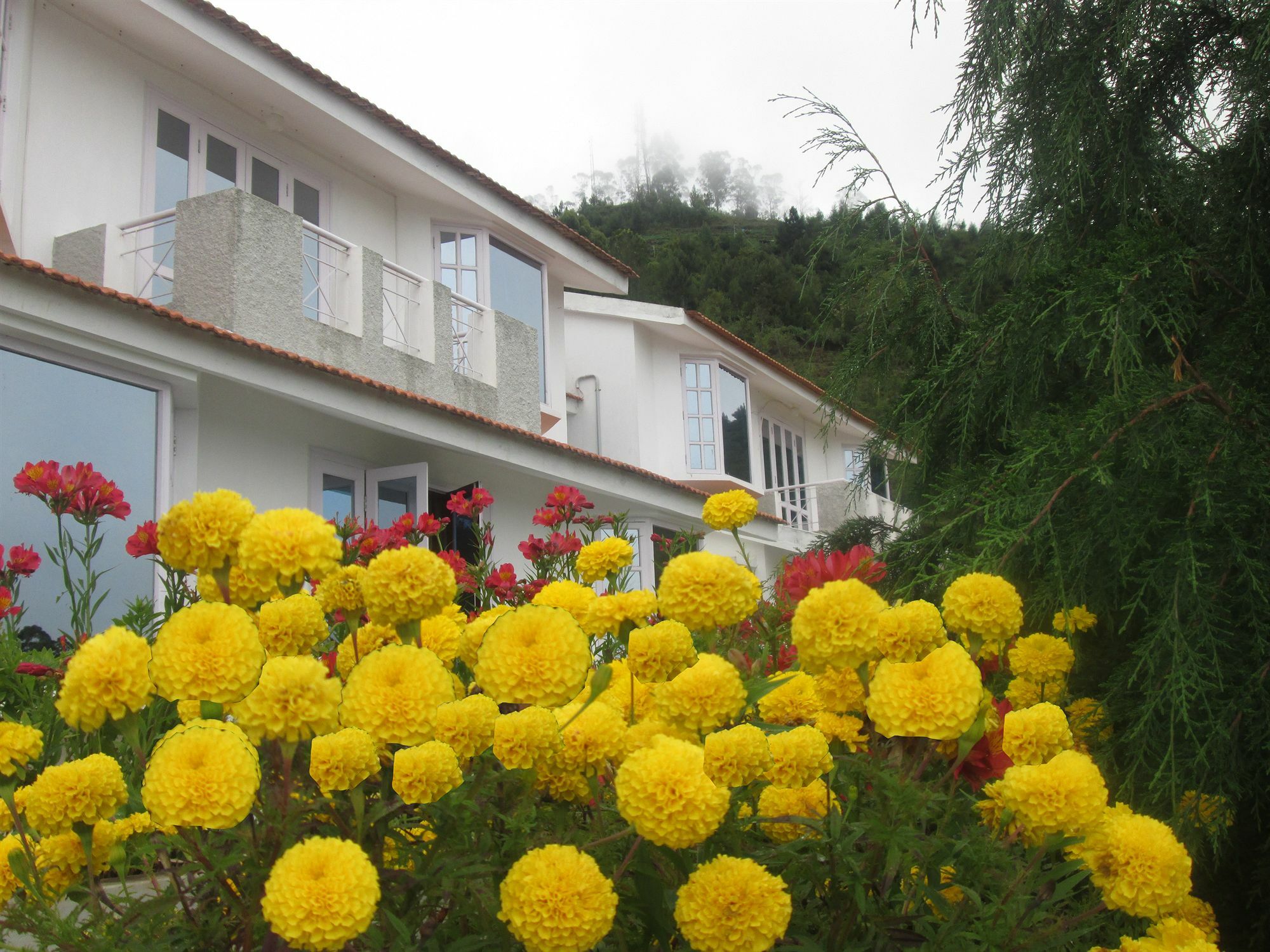 Country Club Valley Vista Tamilnadu - Tamilnadu - Kodaikanal Exterior foto